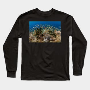 Heaven's garden Long Sleeve T-Shirt